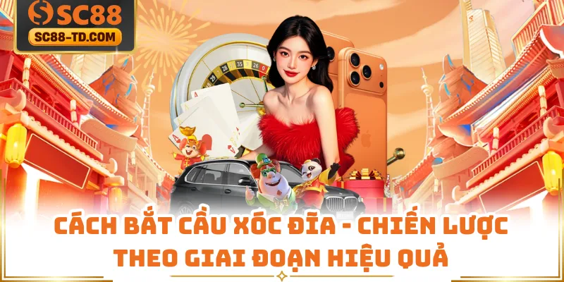 Cách Bắt Cầu Xóc Đĩa - Chiến Lược Theo Giai Đoạn Hiệu Quả