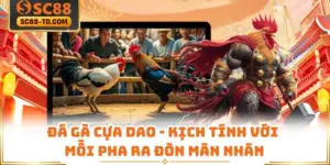 Đá Gà Cựa Dao - Kịch Tính Với Mỗi Pha Ra Đòn Mãn Nhãn